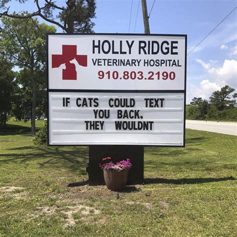30 Funny Vet Clinic Names And Signs Which Are Ridiculously Amusing