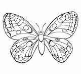 Butterfly Coloring Pages Color Supercoloring Insect Printable sketch template