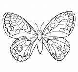 Schmetterling Ausmalbild Supercoloring sketch template