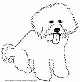 Coloring Bichon Dog Pages Frise Breed Line Drawing Getdrawings Yorkie sketch template