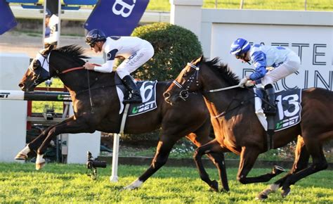 burning passion set to line up in winter stakes field sports news