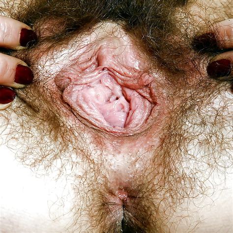 Lick My Hairy Cunt And My Smelling Asshole Big Collection 50 Pics
