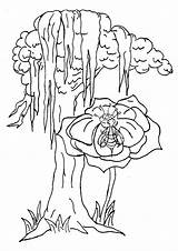 Cypress Parentune sketch template