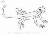 Lizard Draw Drawing Green Step Lizards Tutorials Drawingtutorials101 Tutorial Animals sketch template