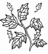 Coloring Pages Wade Leaves Fall Dwyane Popular Library Coloringhome sketch template