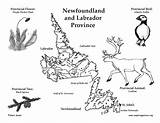 Newfoundland Labrador Province Map Color Canadian Location Exploringnature sketch template