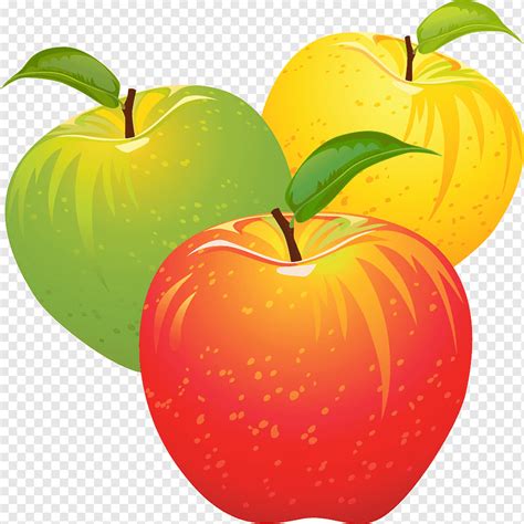 karikatur buah apel dan cari lebih banyak seni vektor bebas royalti