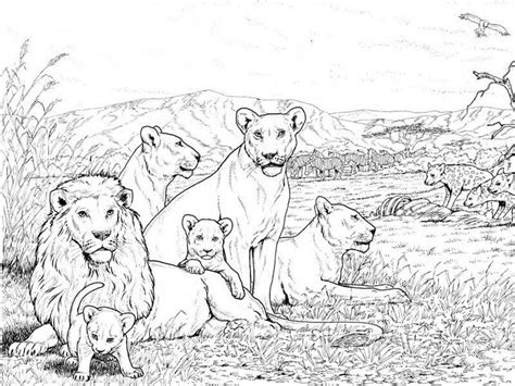 draw  lion roaring  kids