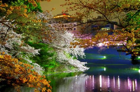 20 Pemandangan Di Jepang Bunga Sakura Foto Pemandangan Hd