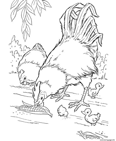 print realistic hen  rooster farm animal scc coloring pages farm