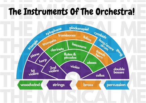 orchestra layout