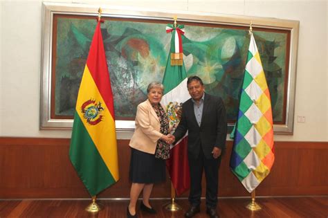 foreign secretary alicia barcena meets  bolivian vice president
