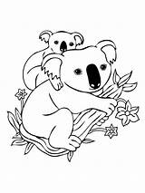 Koala Coloring Pages Baby Printable Kids Mother sketch template