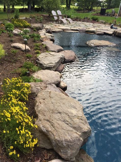 pool  boulder edge pond landscaping natural swimming ponds