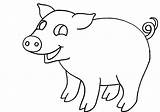 Pig Coloring Clipart Clipartbest sketch template