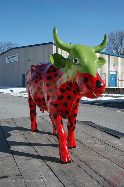 strawberry cow i was looking at some older photos and