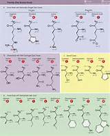 Photos of Names Of Fatty Acids