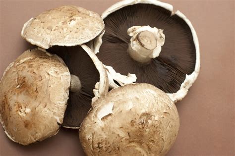 fresh large cup  portobello mushrooms  stock image