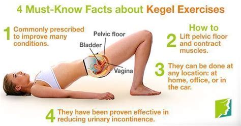 how to do kegel exercises in 2020 kegel exercise pelvic floor