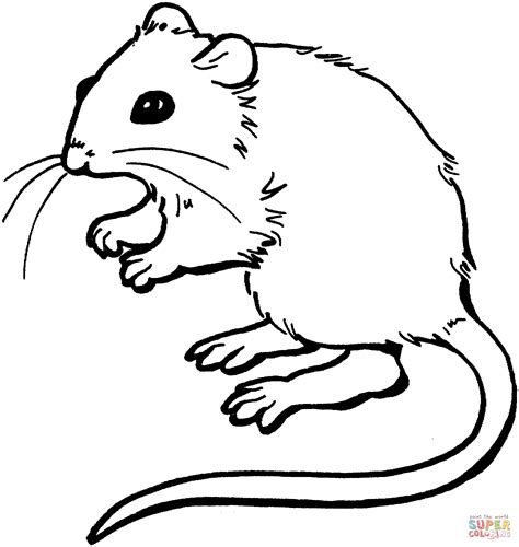 slashcasual mouse coloring page