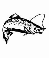 Trout Fishing Fly Rainbow Sticker Drawing Fish Stencil Stickers Brown Getdrawings Decals sketch template