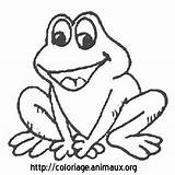 Grenouille Bouche Ouverte Coloring Frogs sketch template