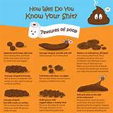 Different Types Of Poop Pictures