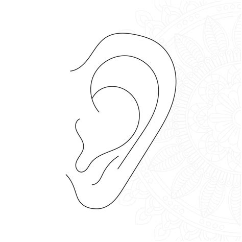 ears coloring pages  kids  vector art  vecteezy