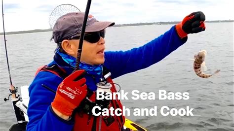 Bank Sea Bass Catch And Cook Youtube