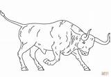 Coloring Bull Pages Spanish Fighting Printable Drawing Spain Buffalo Colorings Crafts sketch template