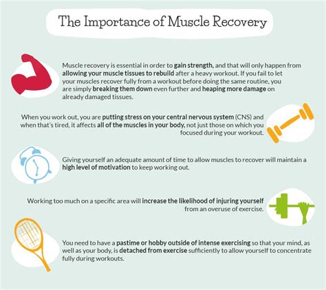 muscle recovery after workout