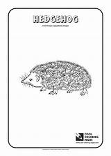 Coloring Hedgehog Pages Cool Print Animals sketch template