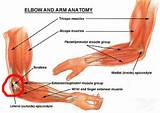 Why Elbow Joint Pain Images
