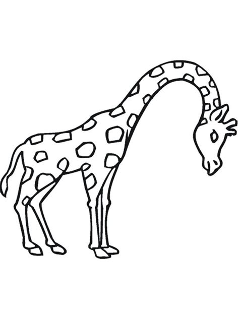 baby giraffe coloring pages    collection  giraffe coloring