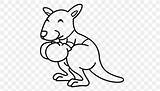 Boxing Coloring Kangaroo Pages Kids Large Drawing Books Save sketch template