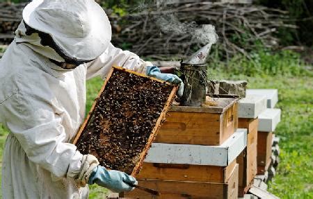 imkers produceren tussen de  en  liters honing  jaar