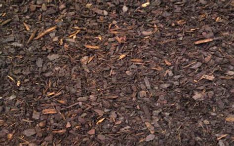 quick guide  bark  wood chippings david domoney