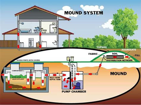 common types  septic systems analyzed  detail