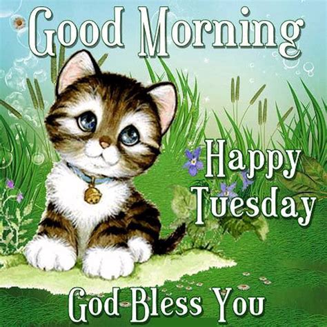 Good Morning Happy Tuesday God Bless You Cute Quotes
