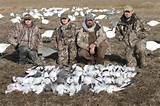 Images of Goose Hunting Videos