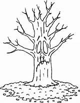 Coloring Trunk Tree Pages Getcolorings sketch template