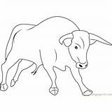 Bull Coloring Pages Strong Bulls Printable sketch template
