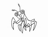 Mantis Religiosa Mantide Deus Louva Colorear Colorare Dibujos Europea Disegni Dibuix Acolore Dibuixos Insectos sketch template