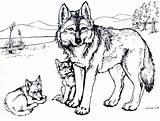 Coloring Wolf Animal Burgess Book Pages Children Collection Coyote sketch template
