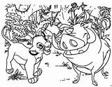 Coloring Lion King Pumba Pages Simba Timon Pride Getcolorings Baby sketch template