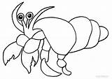 Crab Hermit Coloring Pages Printable Sea Sheets Crabs Cool2bkids Clipart Walrus Activities Kids Sheet Cartoon Template Animal Color Getdrawings Drawing sketch template