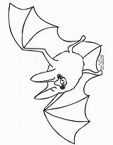 Flying Fox Bat Coloring Pages Clipart Color Drawings Kids Library Colouring Popular Clipground Coloringhome sketch template