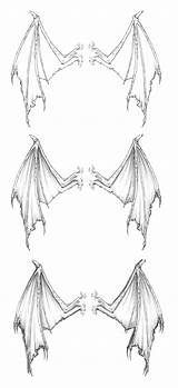 Wings Dragon Wing Sketch Bat Tattoo Drawing Back Dragons Reference Drawings Sketches Dessin Tattoos Draw Devil Easy References Deviantart Google sketch template