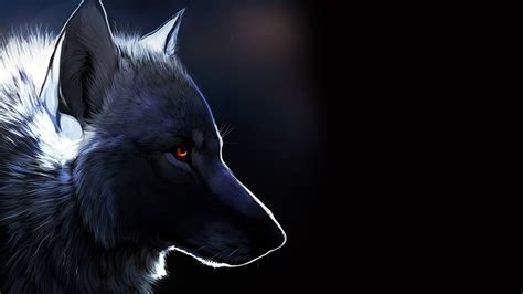 black wolf wallpapers images  pictures backgrounds