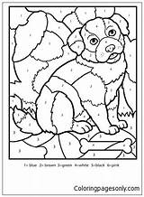 Color Number Pages Puppy Coloring Online sketch template